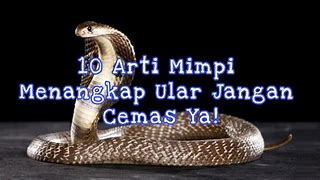 Arti Mimpi Ular Besar Dan Panjang Togel